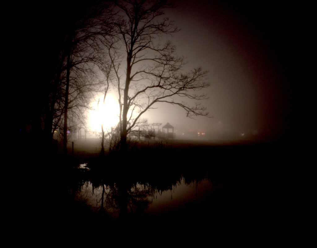 Playscape and trees at the shore of Silver Lake, backlit by a street lamp, on a foggy night